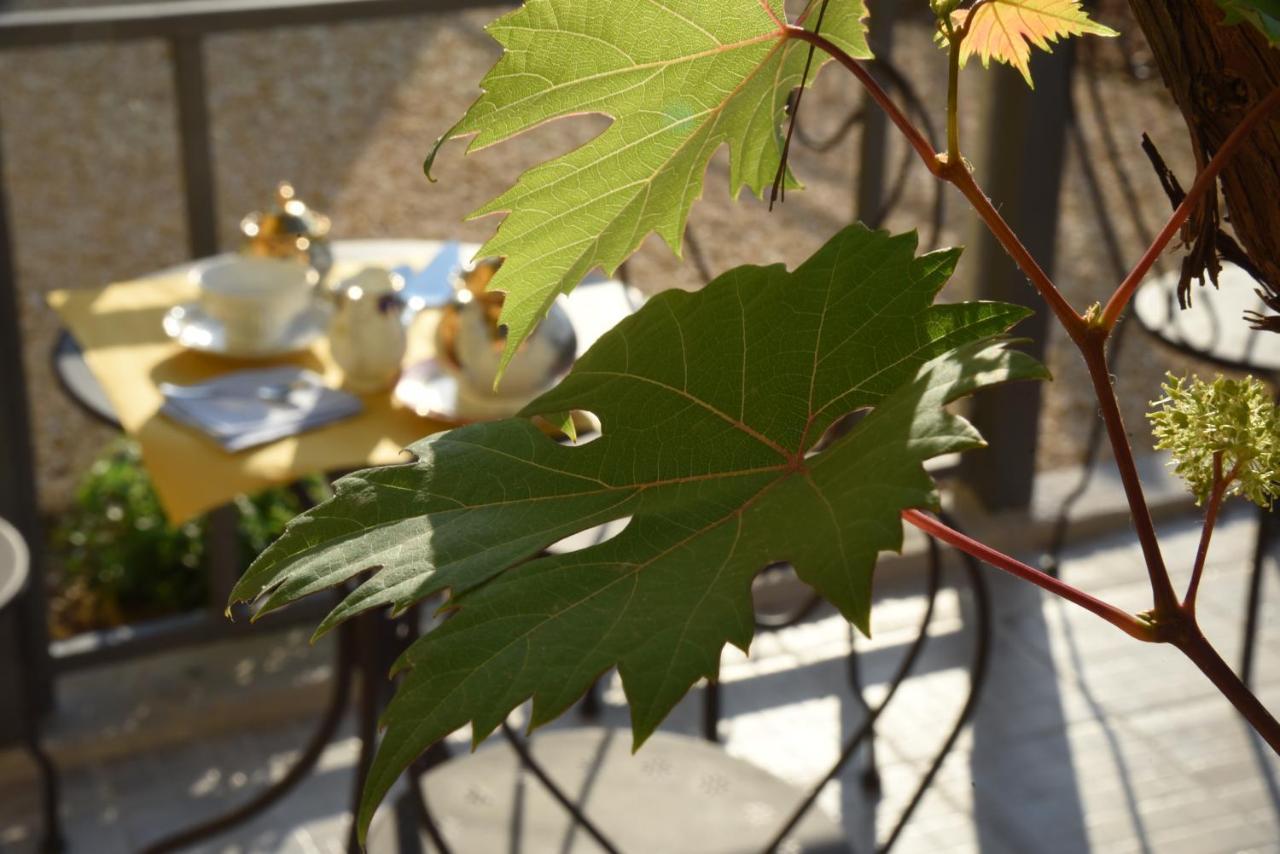 Umema B&B Albenga Exteriör bild